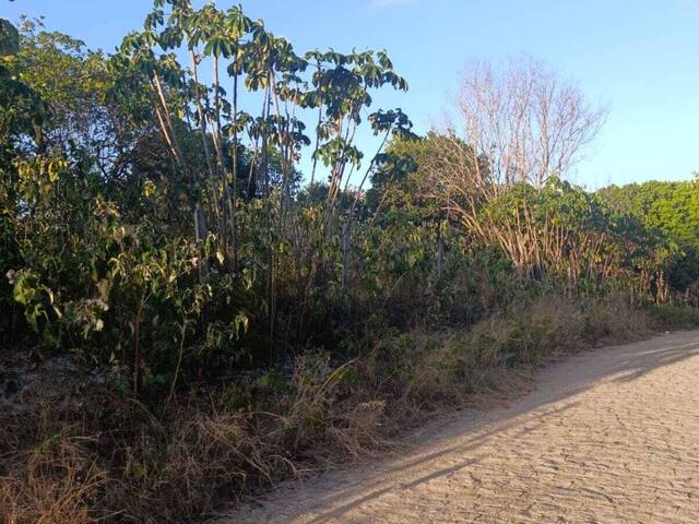 Land in Terreno à Venda na Praia da Pipa- Tibau do Sul/ RN