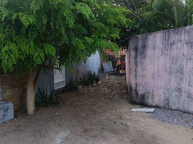 Land in Terreno à Venda na Praia da Pipa- Tibau do Sul/ RN