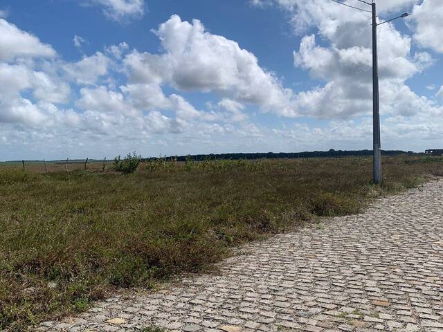 Land in Terreno à Venda na RN 003- Tibau do Sul/ RN
