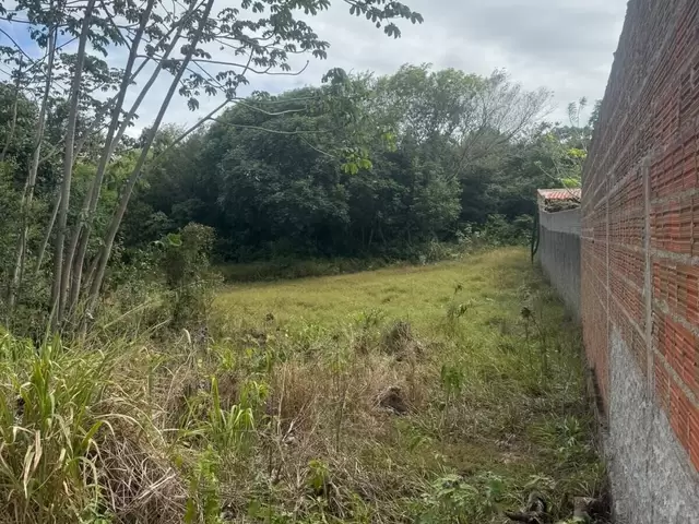 Land in Terreno à Venda na Praia da Pipa- Tibau do Sul/RN