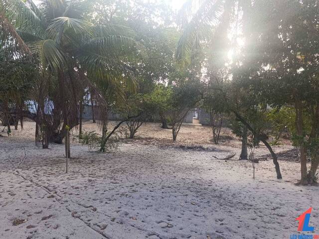 Land in Terreno à Venda na Praia da Pipa- Tibau do Sul/ RN