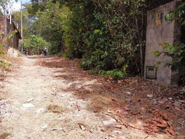 Land in Terreno à Venda na Praia da Pipa- Tibau do Sul/ RN
