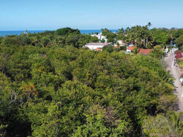 Land in Terreno à Venda na Praia da Pipa- Tibau do Sul/ RN