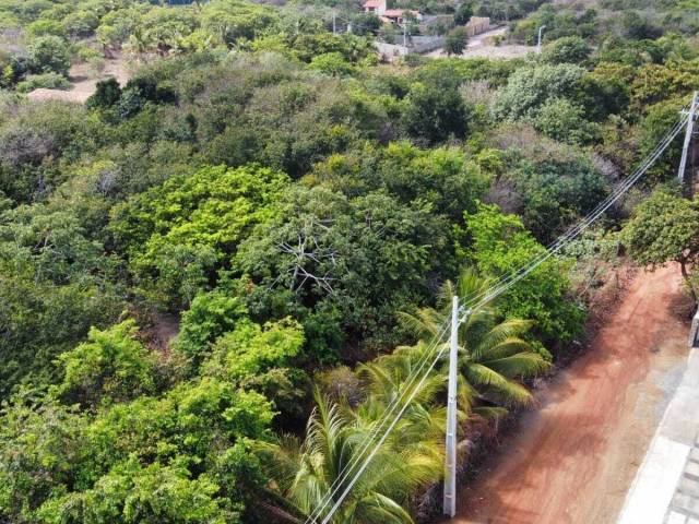 Land in Terreno à Venda na Praia da Pipa- Tibau do Sul/ RN