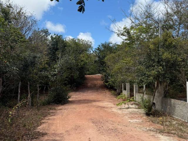 Land in Terreno à Venda na Praia da Pipa- Tibau do Sul/ RN