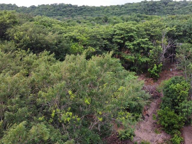 Land in Terreno à Venda na Praia da Pipa, Tibau do Sul/ RN