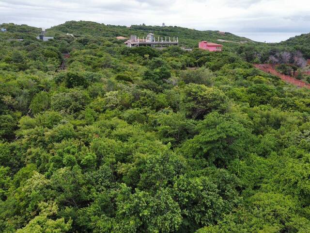 Land in Terreno à Venda na Praia da Pipa- Tibau do Sul/ RN