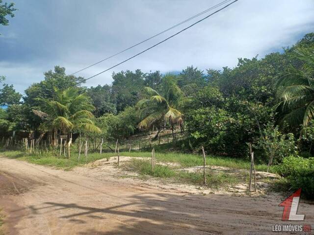 Land in Terreno para Venda na Praia da Pipa- Tibau do Sul / RN