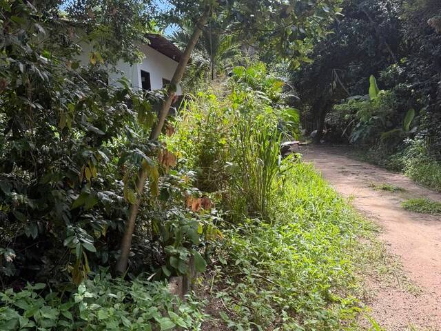 Land in Terreno à Venda na Praia da Pipa, Tibau do Sul/ RN