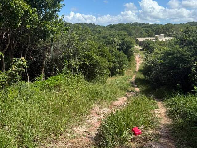 Land in Terreno à Venda na Praia da Pipa- Tibau do Sul/ RN