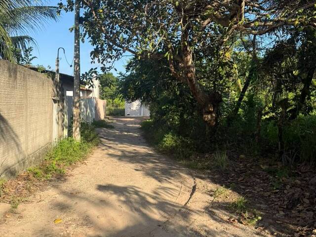 Land in Terreno à Venda na Praia da Pipa- Tibau do Sul/ RN