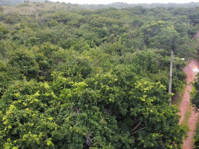 Land in Terreno à Venda na Praia da Pipa- Tibau do Sul/ RN