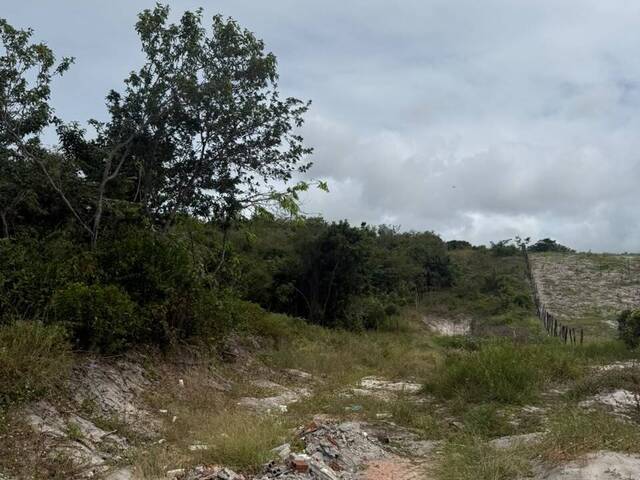 Land in Terreno à Venda na Praia da Pipa- Tibau do Sul/ RN