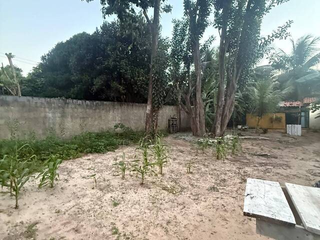 Land in Terreno à Venda na Praia da Pipa- Tibau do Sul/ RN