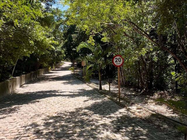 Land in Terreno em Condominio à Venda na Praia da Pipa- Tibau do Sul/ RN