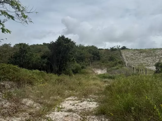 Land in Terreno à Venda na Praia da Pipa- Tibau do Sul/ RN