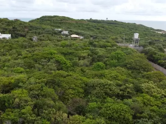 Land in Terreno para Venda na Praia da Pipa- Tibau do Sul / RN