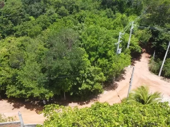 Land in Terreno para Venda na Praia da Pipa- Tibau do Sul / RN