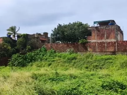 Land in Terreno para Venda na Praia da Pipa- Tibau do Sul / RN