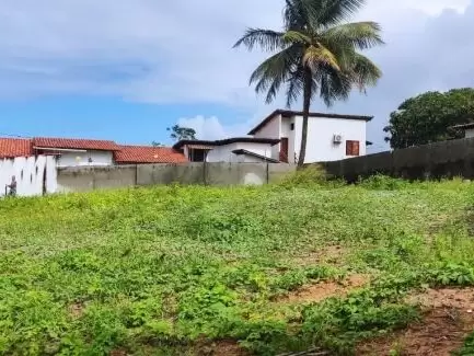 Land in Terreno para Venda na Praia da Pipa- Tibau do Sul / RN
