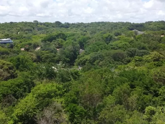 Land in Terreno para venda na Praia da Pipa- Tibau do Sul / RN