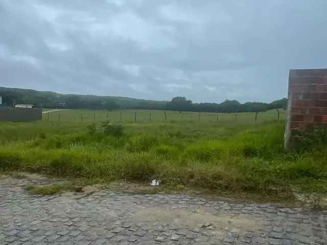 Land in Terreno para Venda na Praia da Pipa- Tibau do Sul / RN
