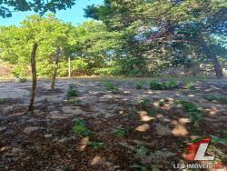 Land in Terreno para Venda na Praia da Pipa- Tibau do Sul / RN