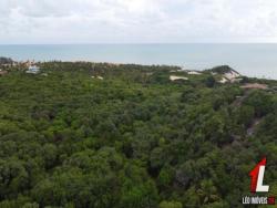 Land in Terreno para Venda na Praia da Pipa- Tibau do Sul / RN