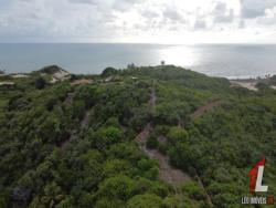 Land in Terreno para Venda na Praia da Pipa- Tibau do Sul / RN