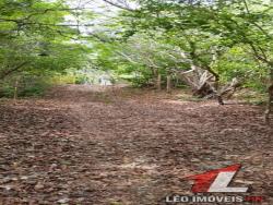 Land in Terreno para Venda na Praia da Pipa- Tibau do Sul / RN