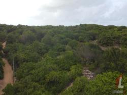 Land in Terreno para Venda na Praia da Pipa- Tibau do Sul / RN