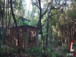 Land in Terreno para Venda na Praia da Pipa- Tibau do Sul / RN