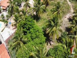 Land in Terreno para Venda na Praia da Pipa- Tibau do Sul / RN