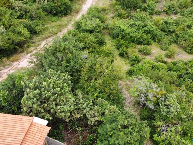 Land in Terreno para Venda na Praia da Pipa- Tibau do Sul / RN