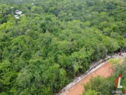 Land in Terreno para Venda na Praia da Pipa- Tibau do Sul / RN