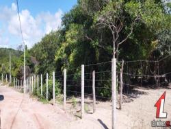 Land in Terreno para Venda na Praia da Pipa- Tibau do Sul / RN