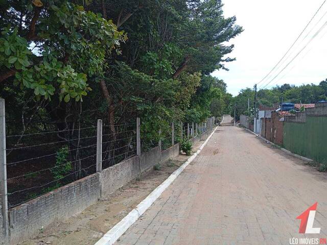 Land in Terreno para Venda na Praia da Pipa- Tibau do Sul / RN