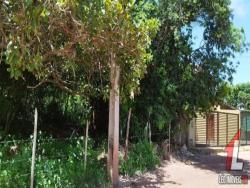 Land in Terreno para Venda na Praia da Pipa- Tibau do Sul / RN