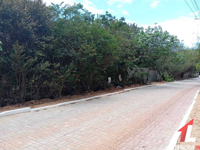 Land in Terreno para Venda na Praia da Pipa- Tibau do Sul / RN