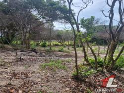 Land in Terreno para Venda na Praia da Pipa- Tibau do Sul / RN