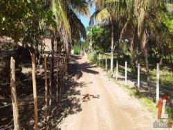 Land in Terreno para Venda na Praia da Pipa- Tibau do Sul / RN