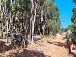 Land in Terreno para Venda na Praia da Pipa- Tibau do Sul / RN