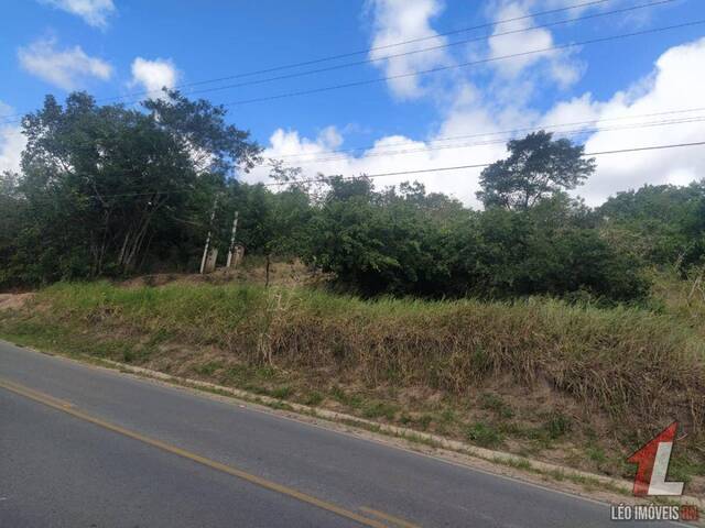 Land in Terreno para Venda em Piaú- Tibau do Sul / RN