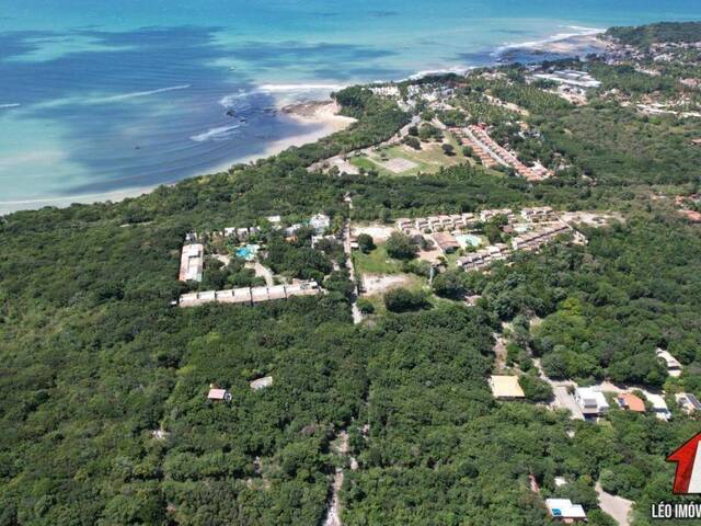 Land in Terreno para Venda na Praia da Pipa- Tibau do Sul / RN