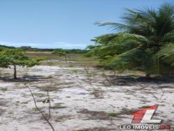 Land in Terreno para Venda na Praia da Pipa- Tibau do Sul / RN