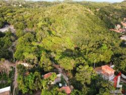 Land in Terreno para Venda na Praia da Pipa- Tibau do Sul / RN