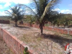 Land in Terreno para Venda em Sibaúma Tibau do Sul / RN