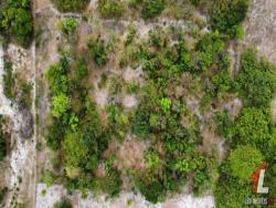 Land in Terreno para Venda na Praia da Pipa- Tibau do Sul / RN