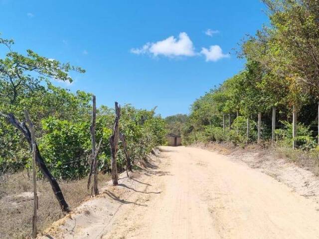Land in Terreno para Venda na Praia da Pipa- Tibau do Sul / RN