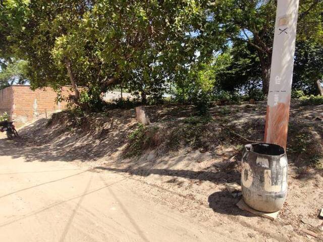 Land in Terreno para Venda na Praia da Pipa- Tibau do Sul / RN